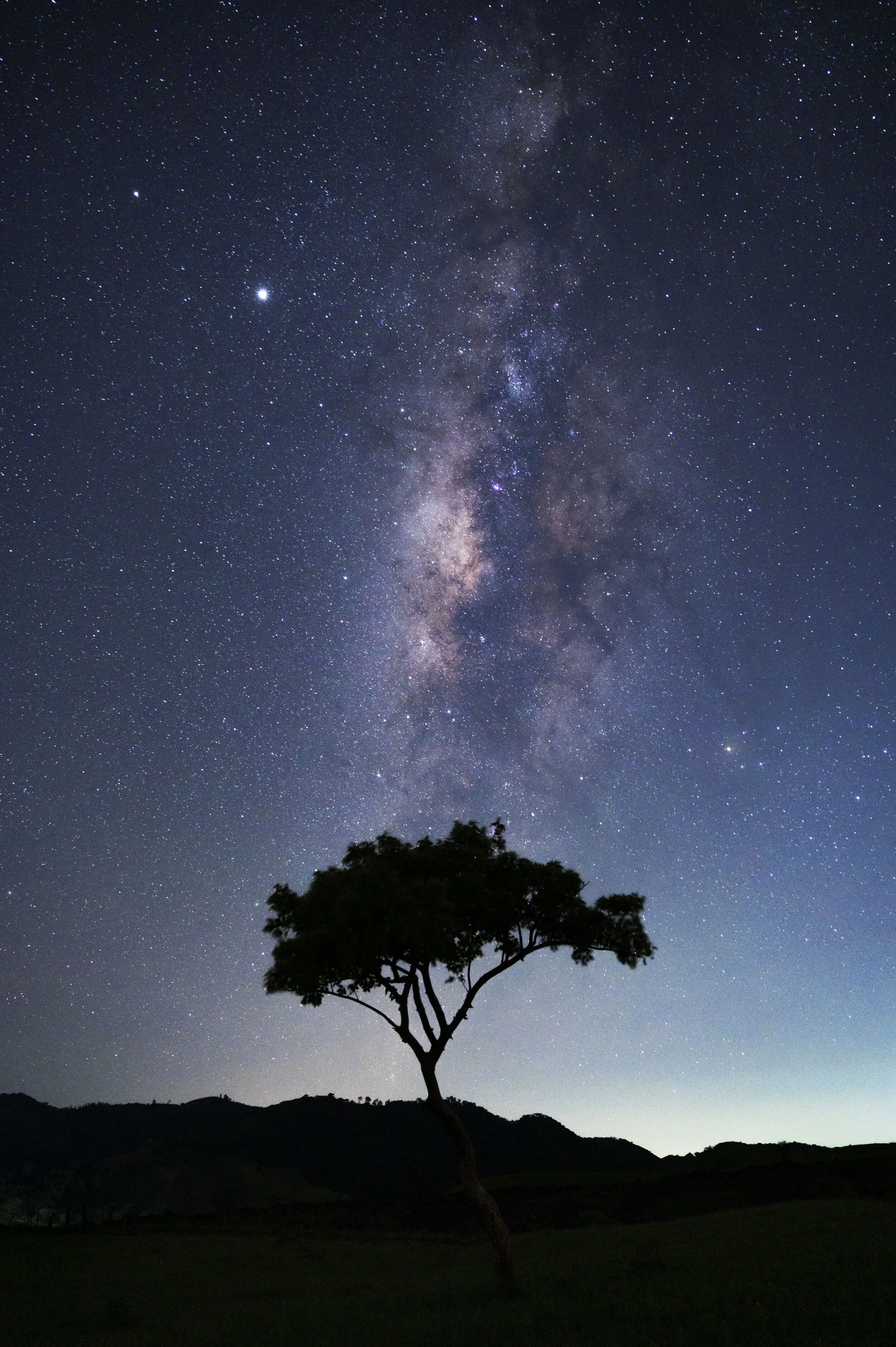 The Tree of Science — Photo workshops and adventures